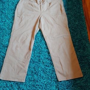 Gloria Vanderbilt 20w taupe